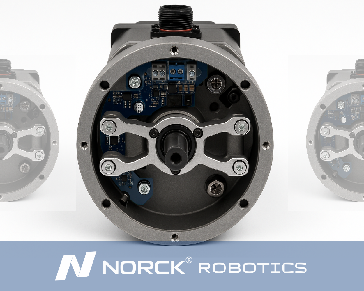 Universal Robotic Joints